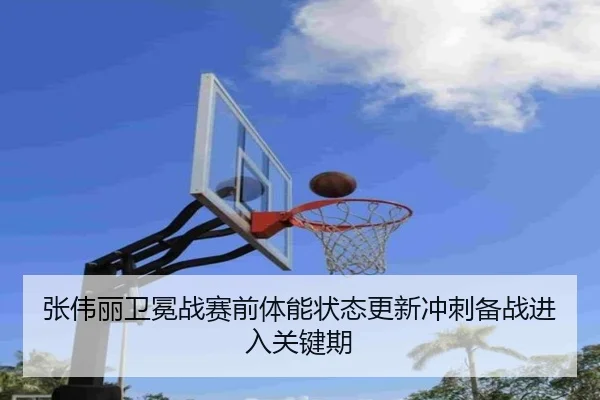 张伟丽卫冕战赛前体能状态更新冲刺备战进入关键期